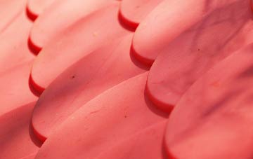 Greenbank plastic roof costs